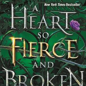 A Heart so Fierce and Broken by Brigid Kemmerer